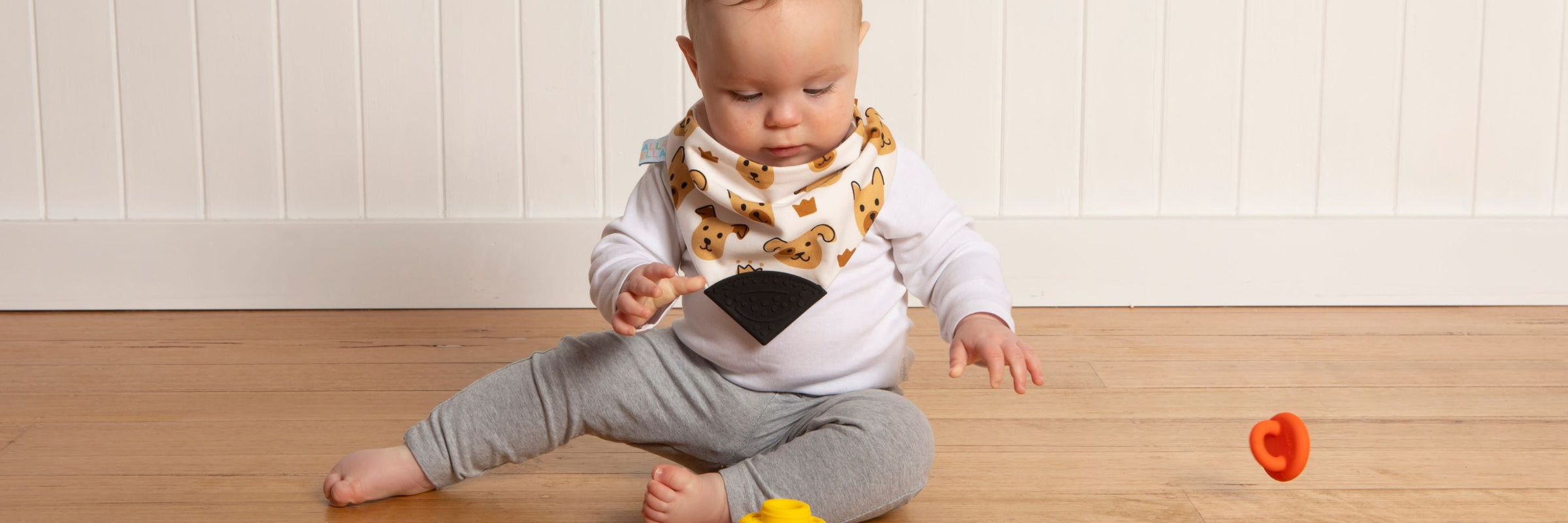 Teether Bibs